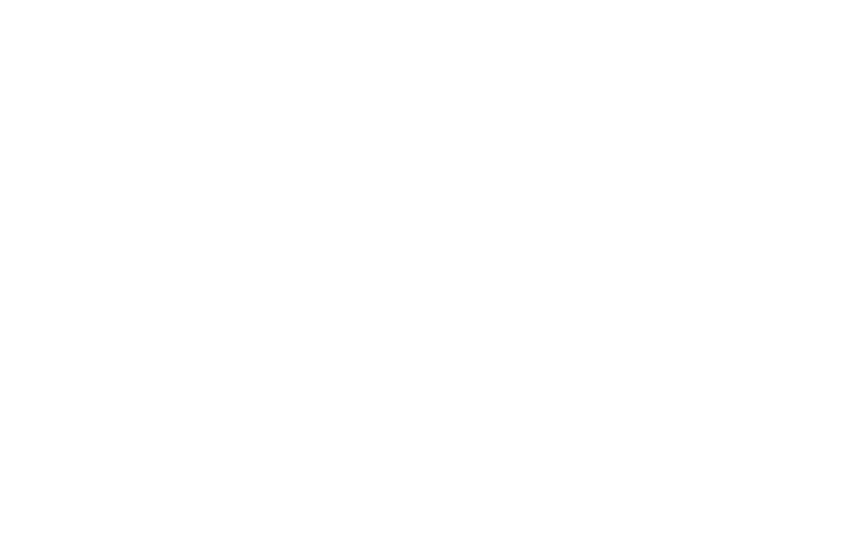 PRIMOS logo
